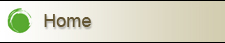 kevin snyder cpa home button